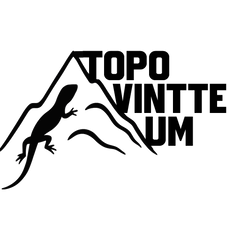 Topo VintteUm